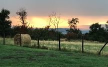 Billeder fra gæster i Podere Capraia