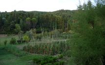 Billeder fra gæster i Rufina 200