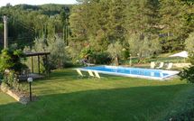 Billeder fra gæster i Rufina 200