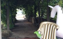 Billeder fra gæster i Montegufoni