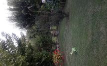 Billeder fra gæster i Casina del Sole