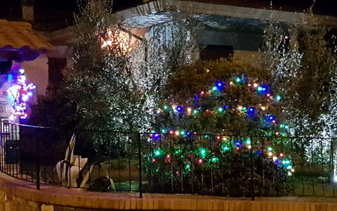 La Casina Del Canneto: Belysning, Lys, Nat, Landskab Belysning, Træ, Arkitektur, Indretning