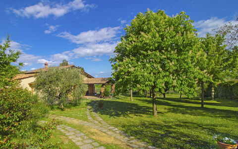 Podere Il Campo