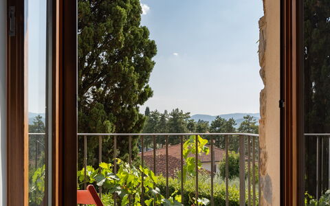 Villa Fracassini: Plante, Himmel, Ejendom, Sky, Botanik, Skygge, Bygning, Træ, Belysning