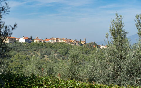 La Miccia: Himmel, Plante, Sky, Økoregion, Naturlige Landskab, Land Lot, Vegetationen, Træ, Bygning, Græs