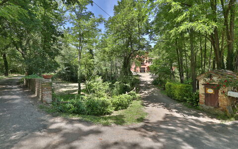 Podere Il Doccio: Træ, Naturreservat, Vegetationen, Ejendom, Naturligt Miljø, Biome, Skov, Sti, Woodland, Land Lot