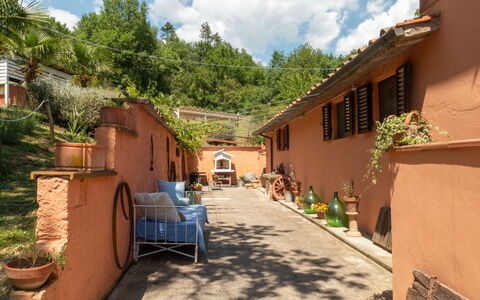 Podere Il Doccio: Væg, Blomsterkrukke, Dør, Stueplante, Hacienda, Gårdsplads, Skygge, Mursten, Altan, Flise