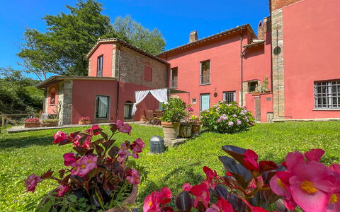 Mulino a Montegonzi Di Rimaggio: Blomst, Himmel, Plante, Vindue, Bygning, Grøn, Blomsterkrukke, Træ, Græs, Hus