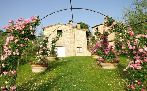 Villa Ardene: Arch, Arkitektur, Blomst, Plante, Have, Forår, Gård, Hus, Græs, Lawn