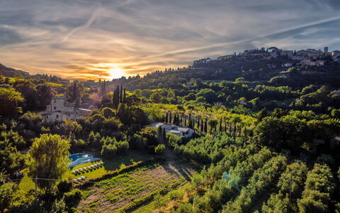 Villa Ardene: Sky, Himmel, Atmosfære, Plante, Naturlige Landskab, Sollys, Træ, Skumring, Afterglow, Landskab