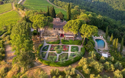 Villa Le Corti: Busk, Have, Plantesamfund, Bunddække, Landscaping, Estate, Botanisk Have, Hacienda, Backyard