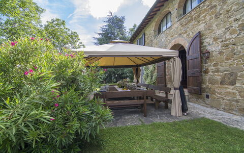 Villa Flora: Ejendom, Ejendom, Hus, Bygning, Have, Botanik, Gård, Estate, Græs, Hjem