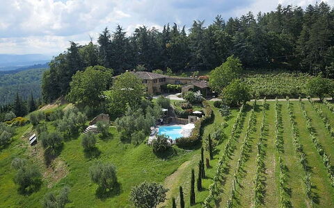 Villa Flora: Hill Station, Highland, Biome, Ødemark, Plantation, Træ, Landskab, Landdistrikt, Land Lot, Fotografering