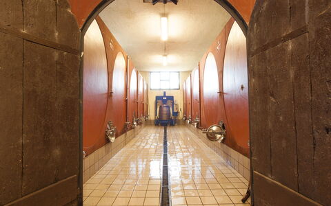 Fattoria Di Quercia Al Poggio: Bygning, Arch, Arkitektur, Værelse, Etage, Hal, Indretning, Loft, Symmetry, Gulvbelægning