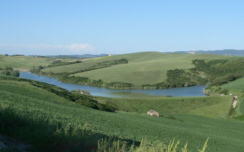 Agriturismo Il Gattero: Græs-, Naturlige Landskab, Naturligt Miljø, Almindeligt, Vandressourcer, Bakke, Landdistrikt, Pasture, Vand, Land Lot