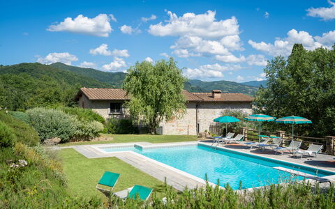 Podere Schignano: Plante, Sky, Vand, Himmel, Møbel, Bygning, Svømmepøl, Grøn, Træ, Arkitektur