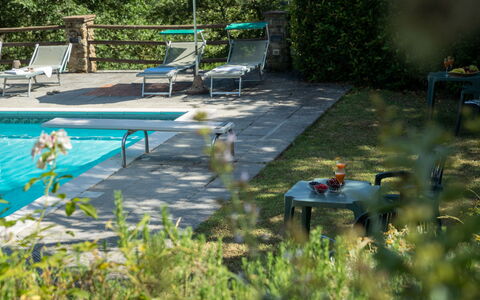 Podere Schignano: Plante, Møbel, Plantesamfund, Hvirveldyr, Stol, Vand, Botanik, Udendørs Møbler, Vegetationen, Græs