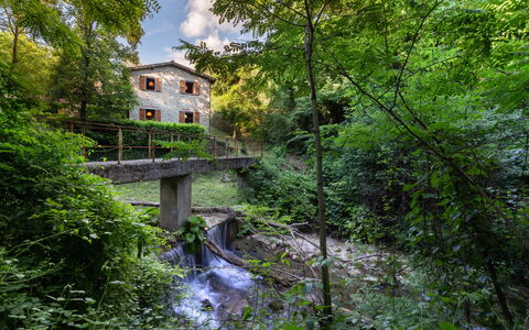 La Ripresa: Natur, Vand, Vegetationen, Grøn, Vandløb, Træ, Naturreservat, Naturligt Miljø, Biome, Flod