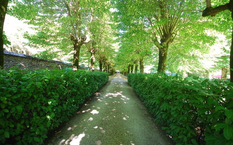 Villa Paola: Grøn, Natur, Træ, Naturlige Landskab, Vegetationen, Blad, Naturreservat, Naturligt Miljø, Græs, Plante