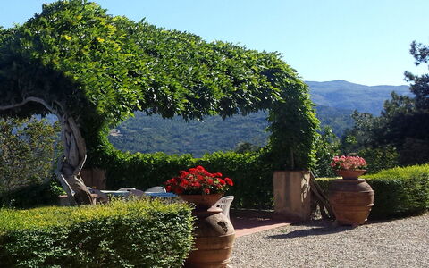 Villa Del Conte: Have, Vegetationen, Træ, Busk, Botanisk Have, Naturlige Landskab, Hæk, Botanik, Plante, Himmel