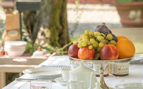 Il Vignale: Bordservice, Serveware, Tallerkner, Bord, Møbel, Drinkware, Dug, Plade, Mad, Porcelæn