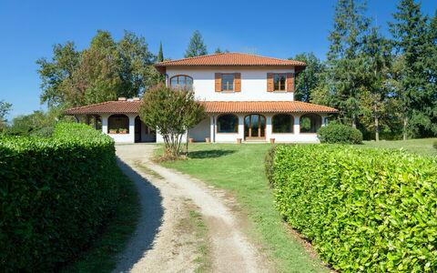 Villa Cinzia: Plante, Himmel, Ejendom, Bygning, Grøn, Vindue, Træ, Naturlige Landskab, Land Lot, Vegetationen