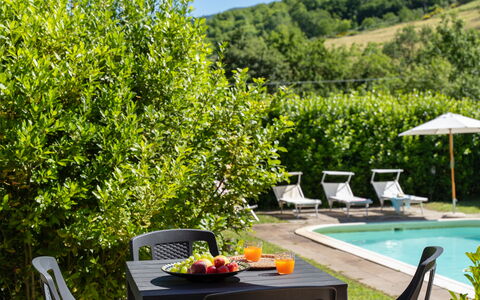 Villa Il Nido: Vand, Plante, Møbel, Plantesamfund, Grøn, Udendørs Møbler, Bord, Svømmepøl, Blomst, Træ