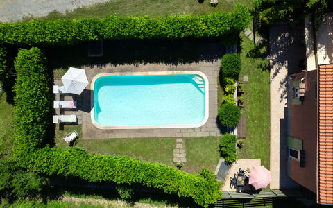 Villa Il Nido: Plante, Grøn, Bygning, Rektangel, Land Lot, Urban Design, Græs, Vindue, Busk, Bunddække