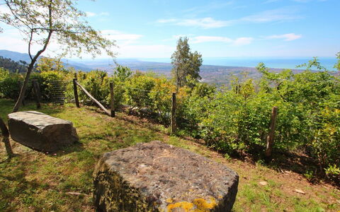 Villa Miramare: Natur, Ødemark, Naturligt Miljø, Træ, Naturlige Landskab, Naturreservat, Rots, Bjerg, Himmel, Skov