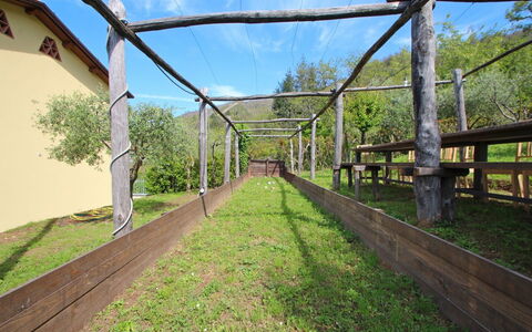 Villa Miramare: Træ, Bro, Græs, Landdistrikt, Ejendom, Walkway, Arkitektur, Nonbuilding Struktur, Land Lot, Plante