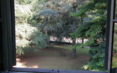 Garden view from the house