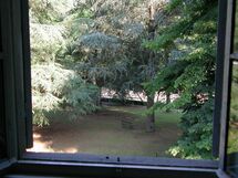 Garden view from the house