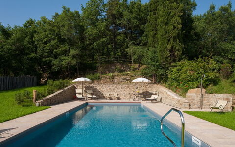 Villa Leopoldina: Vand, Plante, Svømmepøl, Himmel, Grøn, Blå, Træ, Naturlige Landskab, Græs, Fritid