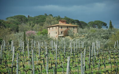 Feriebolig:&nbsp;Villa Margherita