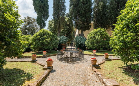 Villa de Ranieri: Plante, Vejbelægning, Træ, Naturlige Landskab, Græs, Vedplante, Evergreen, Fritid, Bunddække, Vej