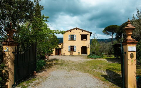 Collina dei Fiori: Himmel, Sky, Plante, Vindue, Bygning, Land Lot, Træ, Græs, Landskab, Landdistrikt
