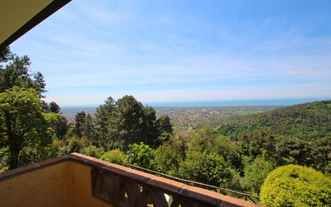 Villa La Collinetta: Sky, Himmel, Ejendom, Natur, Blad, Træ, Arkitektur, Træ, Vegetationen, Morgen