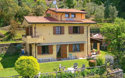 Villa La Collinetta: Plante, Vindue, Ejendom, Bygning, Grøn, Træ, Hus, Gul, Vegetationen, Sommerhus