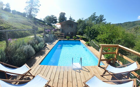 Anfora!!: Svømmepøl, Ejendom, Fritid, Hus, Ejendom, Backyard, Bygning, Ferie, Estate, Træ