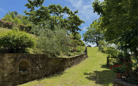Anfora!!: Græs, Grøn, Træ, Blad, Vegetationen, Naturlige Landskab, Busk, Landskab, Landdistrikt