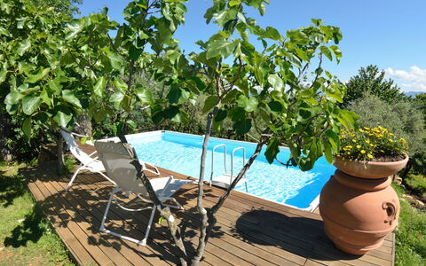 Bettina!: Ejendom, Træ, Plante, Ejendom, Fritid, Ferie, Hus, Svømmepøl, Blomst, Estate