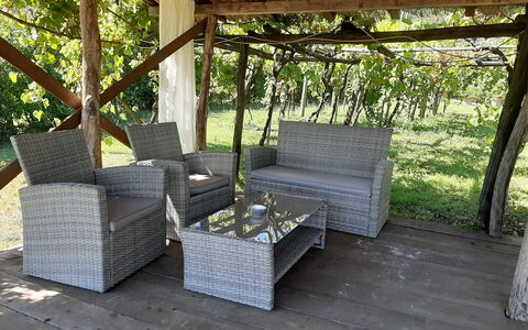 Bettina!: Plante, Skygge, Træ, Couch, Udendørs Møbler, Træ, Indretning, Græs, Sommerhus, Rektangel