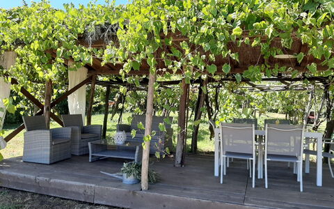 Bettina!: Plante, Skygge, Botanik, Himmel, Busk, Græs, Træ, Udendørs Bench, Bunddække, Blomstrende Plante