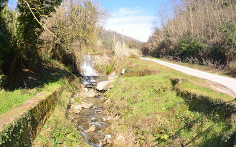 Casa Milena: Vandvej, Naturlige Landskab, Vej, Vandressourcer, Geologiske Fænomen, Kanal, Træ, Vandløb, Færdselsåre