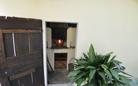 Casa Romana: Ejendom, Værelse, Hus, Bygning, Ejendom, Hjem, Dør, Plante, Etage