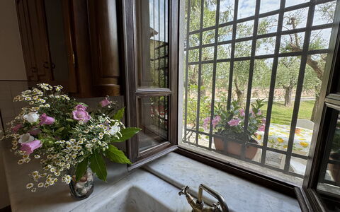 Casa Romana: Glas, Blomsterkrukke, Jern, Stueplante, Dagslys, Altan