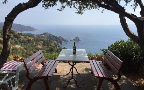 Raggio Di Sole Sull'argentario: Træ, Himmel, Hav, Ferie, Turisme, Kyst, Møbel, Bord, Bugt, Udvej