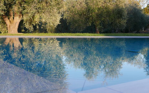 Agriturismo La Pieve: Afspejling, Vand, Natur, Naturlige Landskab, Blå, Træ, Vandressourcer, Himmel, Sø, Reflekterende Pool