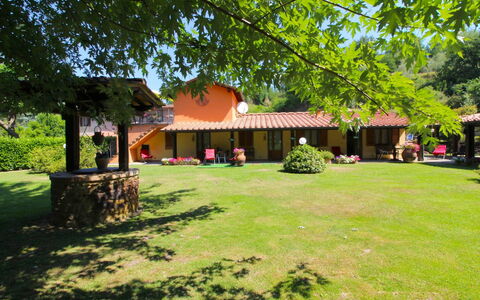 Villa le Balze: Plante, Ejendom, Bygning, Blad, Skygge, Træ, Land Lot, Naturlige Landskab, Fritid, Offentlige Rum