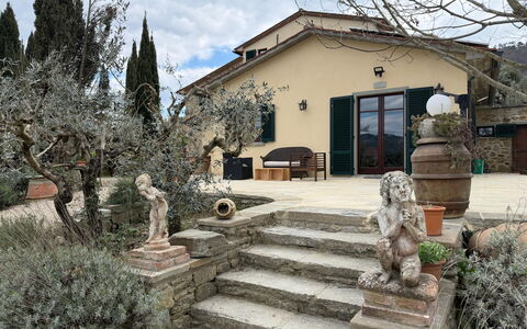 Villa Eleonora: Blomsterkrukke, Flise, Have, Skygge, Landscaping, Stueplante, Hacienda, Indkørsel, Gård